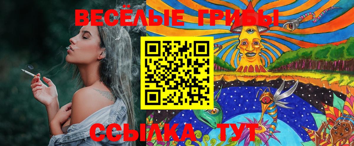 Галлюциногенные грибы MAGIC MUSHROOMS Новосибирск