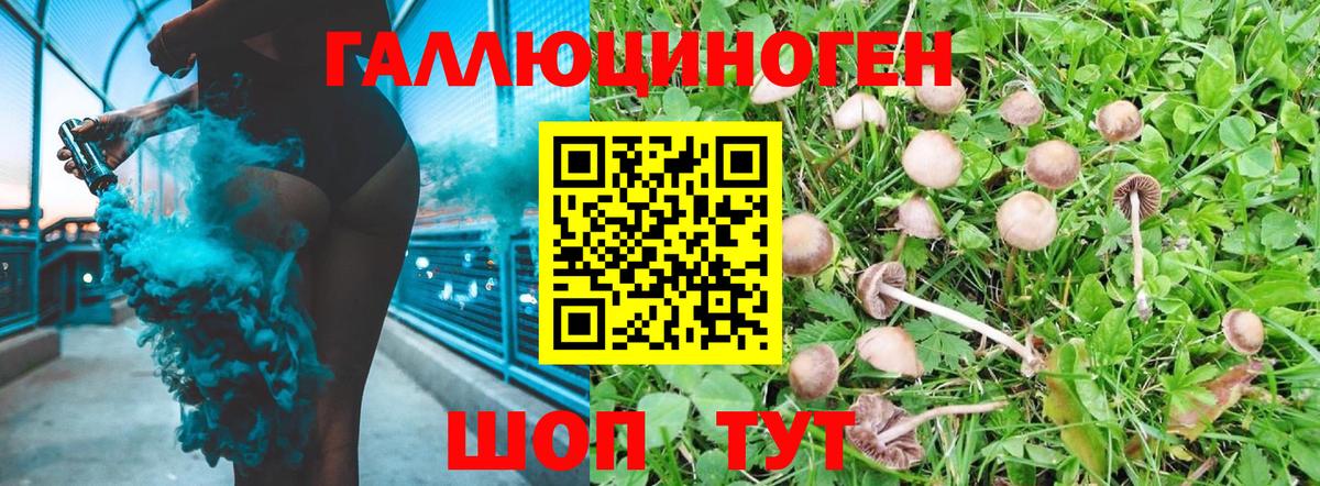 Новосибирск  Галлюциногенные грибы Cubensis  Вход с VPN 